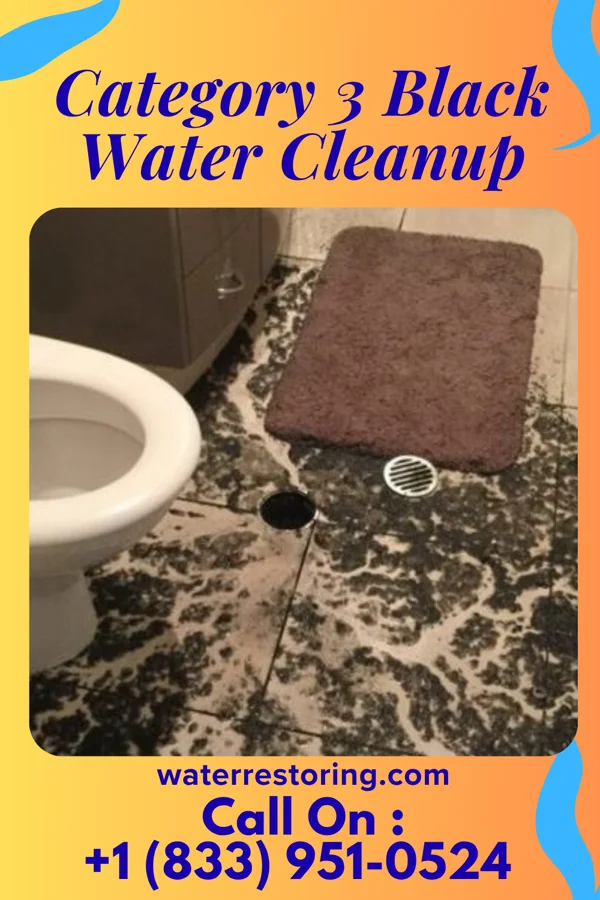 Category 3 Black Water Cleanup in Fulton, IN